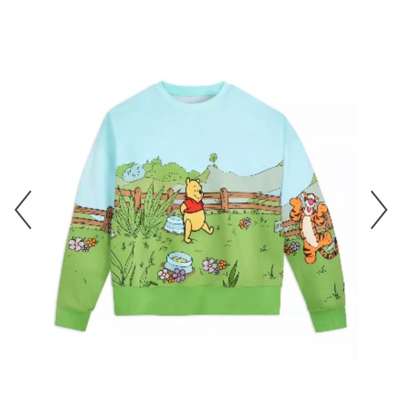 NEW Disney Winnie The Pooh Embroidered Pullover Sweatshirt - Picture 3 of 9